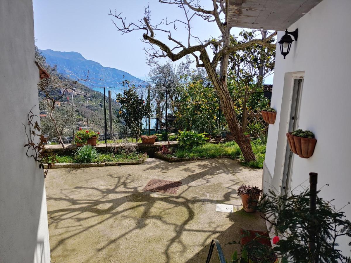 Sorrento, near Positano, Amalfi Coast, Casa Carcara Colli di Fontanelle Exterior foto