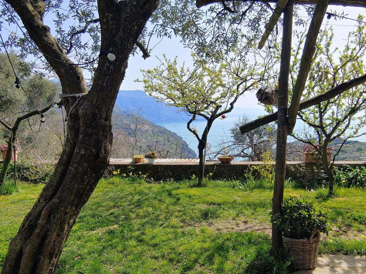 Sorrento, near Positano, Amalfi Coast, Casa Carcara Colli di Fontanelle Exterior foto